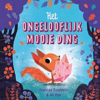 Het ongelooflijk mooie ding -  Ali Pye, Frances Tosdevin (ISBN: 9789043541909)