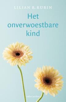 Het onverwoestbare kind - Boek Lilian Rubin (9026334524)