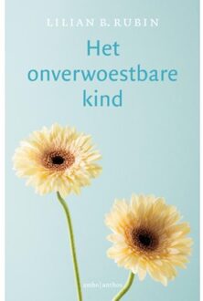 Het onverwoestbare kind - Boek Lilian Rubin (9026334524)