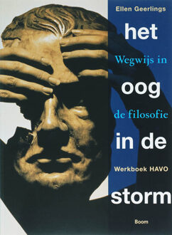 Het oog in de storm / Havo / Werkboek - Boek E. Geerlings (9085062861)