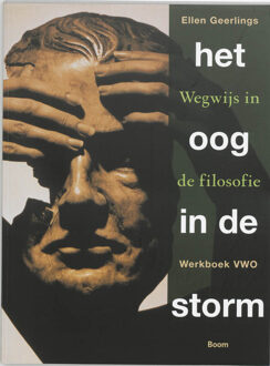 Het oog in de storm / Vwo / Werkboek - Boek E. Geerlings (908506287X)