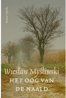 Het Oog van de Naald