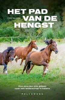 Het pad van de hengst - Philip Van Kelst - ebook