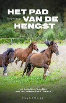 Het pad van de hengst -  Philip van Kelst (ISBN: 9789465300764)
