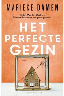 Het Perfecte Gezin - Marieke Damen