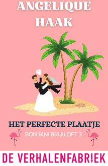 Het perfecte plaatje - Angelique Haak - ebook