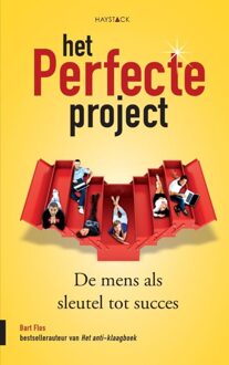 Het perfecte project - eBook Bart Flos (9461260865)