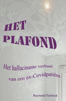 Het Plafond - Raymond Teirlinck