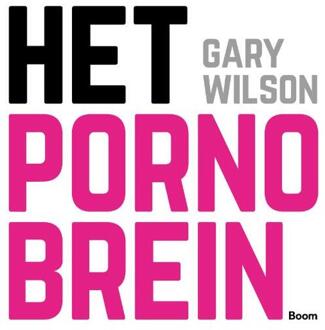 Het pornobrein - Boek Gary Wilson (902440939X)