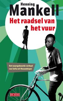 Het raadsel van het vuur - eBook Henning Mankell (9044521365)