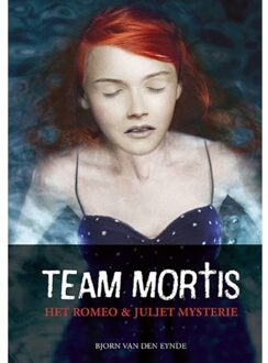 Het Romeo & Juliet mystery - Boek Bjorn Van den Eynde (907782684X)