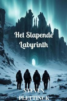 Het slapende labyrinth -  Steven Plettinck (ISBN: 9789465200910)