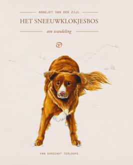 Het sneeuwklokjesbos -  Annejet van der Zijl (ISBN: 9789028249004)