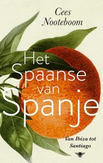 Het Spaanse van Spanje - Cees Nooteboom - ebook