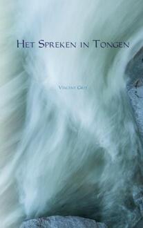 Het Spreken in Tongen - Boek Vincent Grit (9463675973)