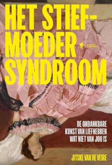 Het stiefmoedersyndroom -  Jitske van de Veire (ISBN: 9789493457003)