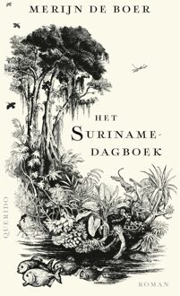 Het Surinamedagboek - Merijn de Boer - ebook