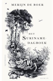 Het Surinamedagboek - Merijn de Boer