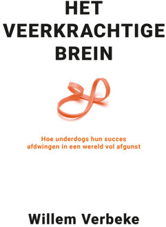 Het veerkrachtige brein - Willem Verbeke - ebook
