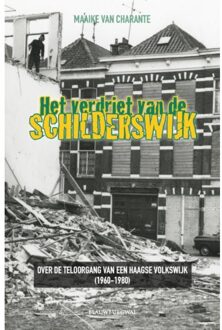 Het verdriet van de Schilderswijk
