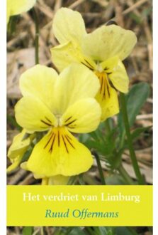 Het verdriet van Limburg - Boek Ruud Offermans (9462548684)