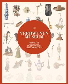 Het verdwenen museum -   (ISBN: 9789462625709)