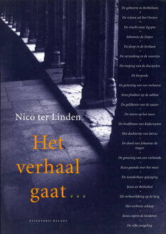 Het verhaal gaat... / 2 Het verhaal van Marcus en het verhaal van Mattheus - Boek Nico ter Linden (9050184928)