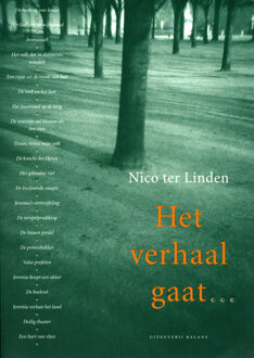 Het verhaal gaat ... / 4 Het getuigenis van Israels profeten - Boek Nico ter Linden (9050184944)