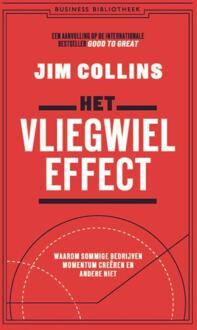 Het vliegwieleffect