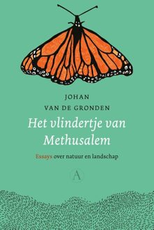 Het vlindertje van Methusalem - Johan van de Gronden - ebook