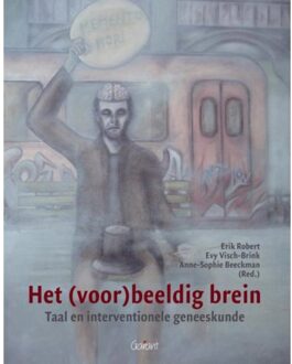 Het (voor)beeldig brein - Boek Maklu, Uitgever (9044130269)