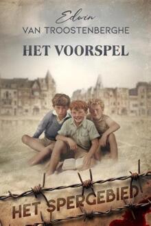 Het voorspel -  Edwin van Troostenberghe (ISBN: 9789493381414)