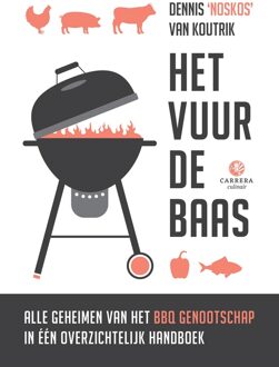 Het vuur de baas - eBook Dennis van Koutrik (9048837995)