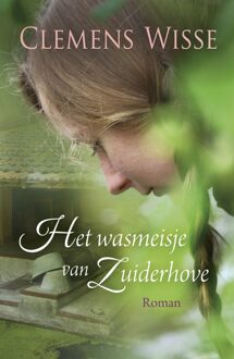 Het wasmeisje van Zuiderhove - eBook Clemens Wisse (9401905444)