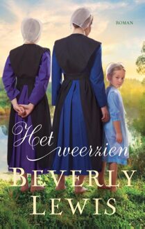 Het weerzien - eBook Beverly Lewis (9088653410)