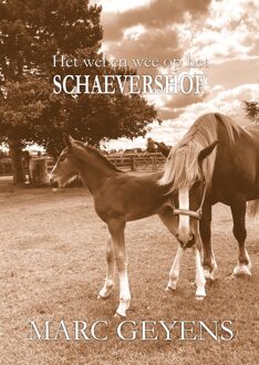 Het wel en wee op het Schaevershof - Marc Geyens - ebook