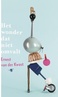 Het wonder dat niet omvalt - eBook Ernest van der Kwast (9023498143)