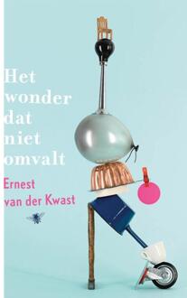 Het Wonder Dat Niet Omvalt - Ernest van der Kwast