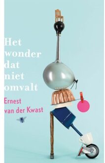 Het Wonder Dat Niet Omvalt - Ernest van der Kwast
