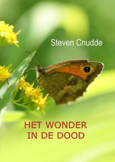 Het wonder in de dood - Boek Steven Cnudde (9491439316)