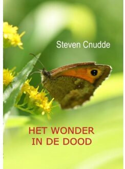 Het wonder in de dood - Boek Steven Cnudde (9491439316)