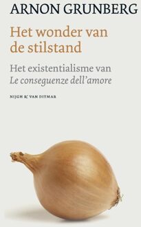 Het wonder van de stilstand - eBook Arnon Grunberg (9038897901)