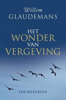 Het wonder van vergeving - Boek Willem Glaudemans (9020212346)