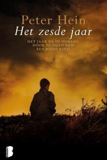 Het zesde jaar - Boek Peter Hein (9022571645)