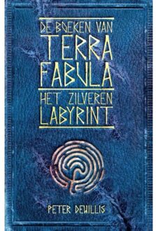 Het zilveren labyrint - Boek Peter DeWillis (9463080759)