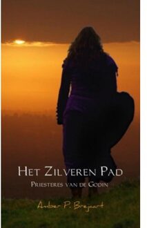 Het zilveren pad - Boek Amber P. Brejaart (9463427783)