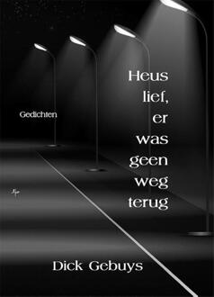 Heus lief, er was geen weg terug -  Dick Gebuys (ISBN: 9789464939286)