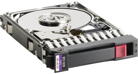 Hewlett Packard Enterprise 300 GB