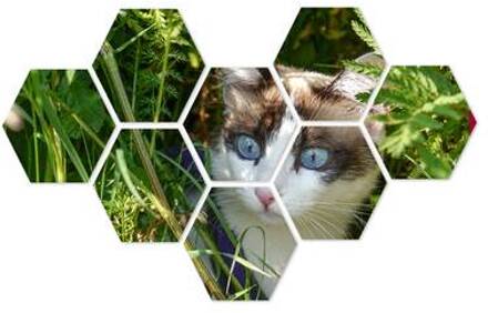 Hexagon Hart of Cirkel 12x15 cm