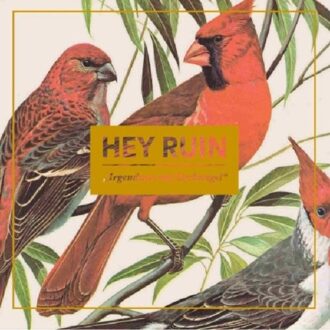 Hey Ruin - Irgendwas Mit D Schungel